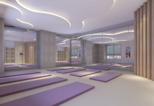 西安2017年精品月子會(huì)所效果圖展示